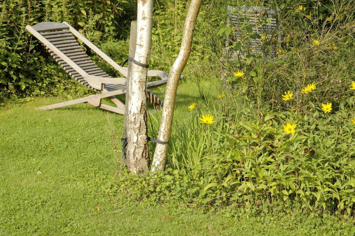 B&B Le Clos De La Fontaine Cheoux Exterior photo